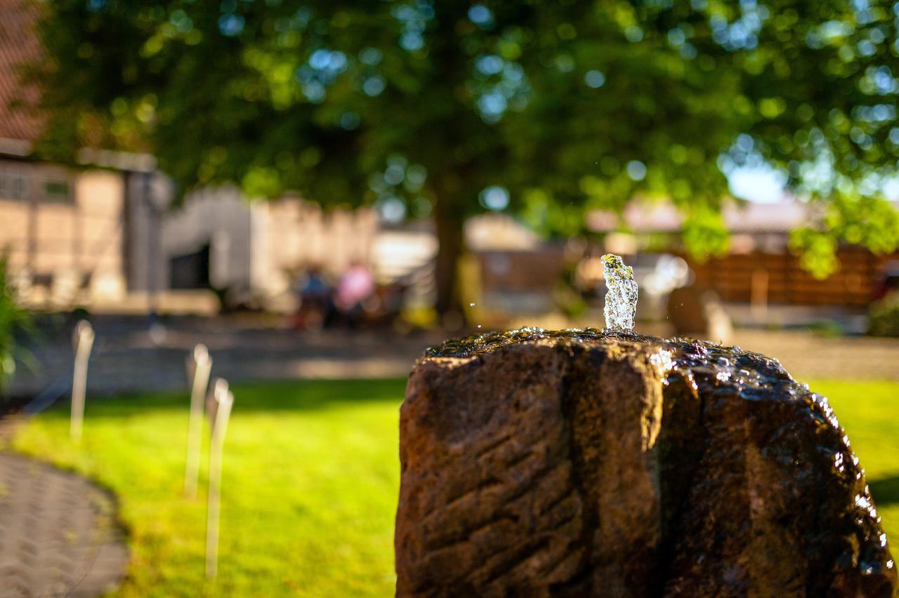 Die Edelkastanie Voitze Exteriér fotografie